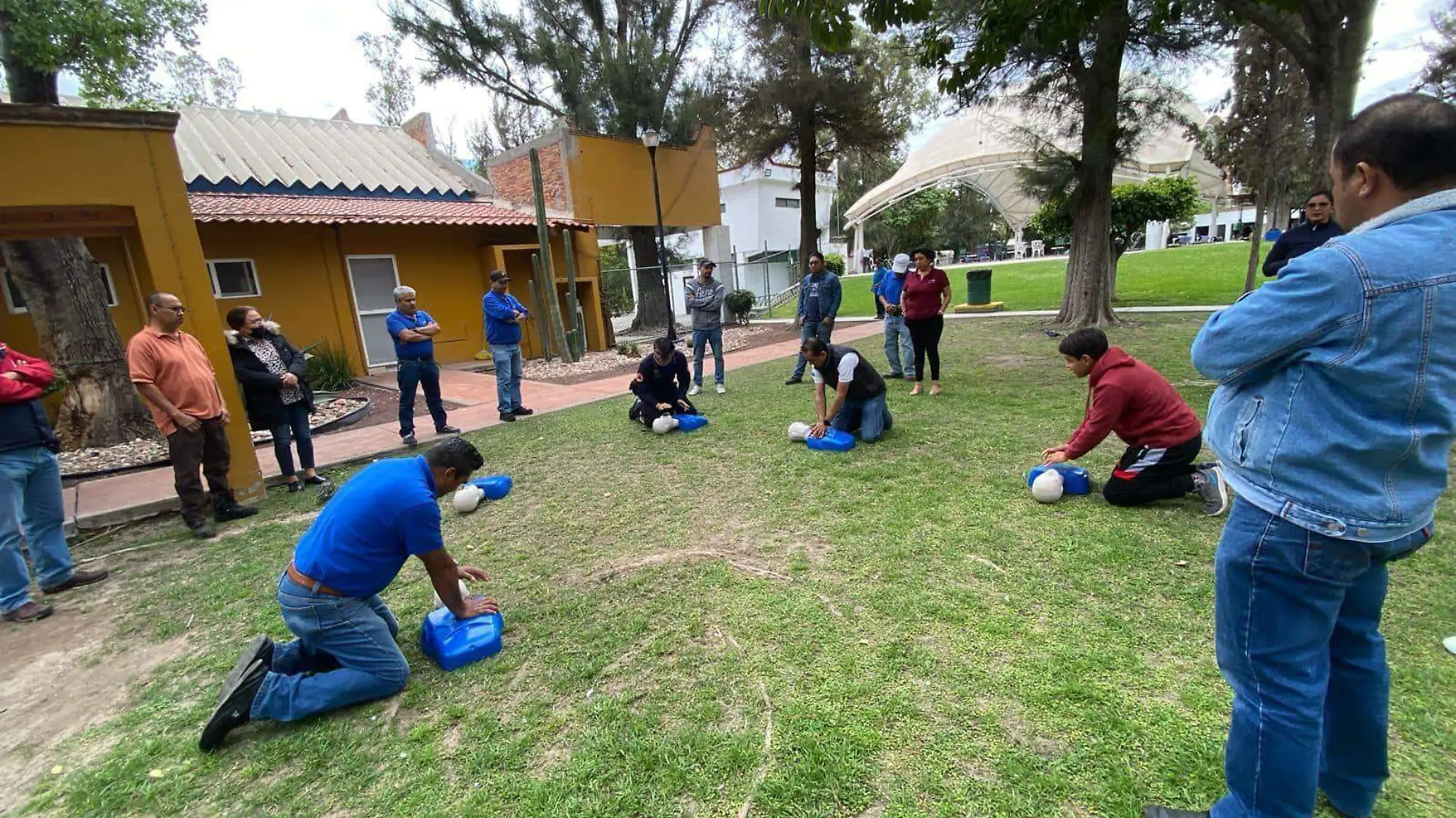 seguridad en ciudadanía  (2)